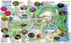Hotel Nikko Guam Nature Walk Brochure Side B